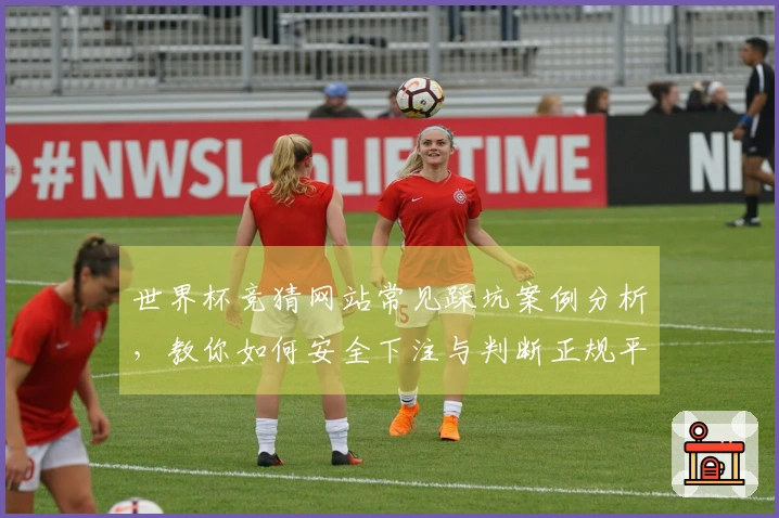世界杯竞猜网站常见踩坑案例分析，教你如何安全下注与判断正规平台