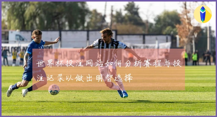 世界杯投注网站如何分析赛程与投注记录以做出明智选择