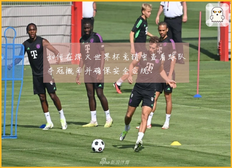 如何在烽火世界杯竞猜中查看球队夺冠概率并确保安全合规?