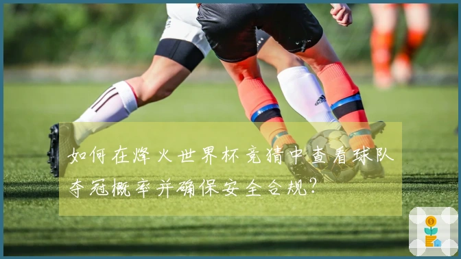如何在烽火世界杯竞猜中查看球队夺冠概率并确保安全合规？