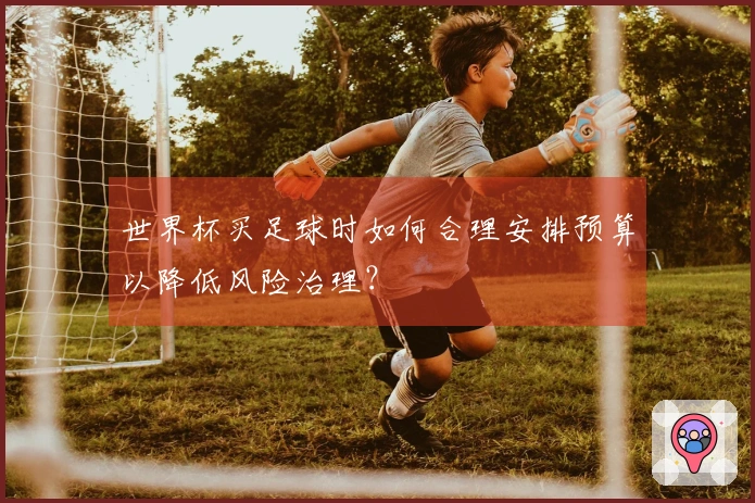 世界杯买足球时如何合理安排预算以降低风险治理？