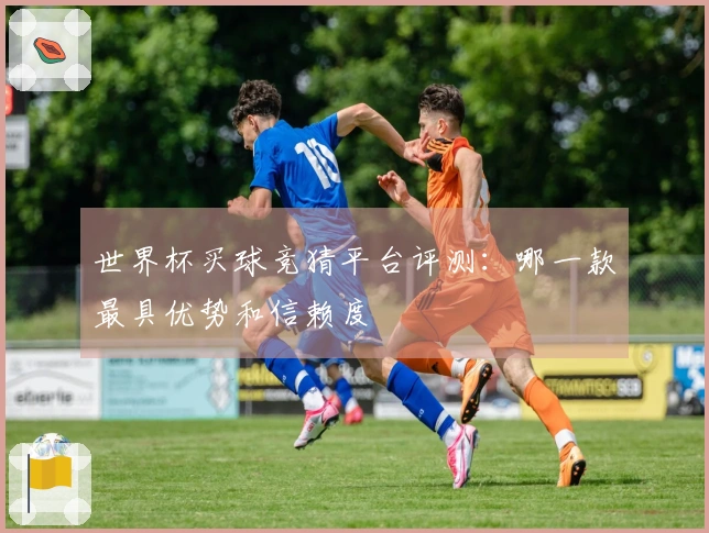 世界杯买球竞猜平台评测：哪一款最具优势和信赖度