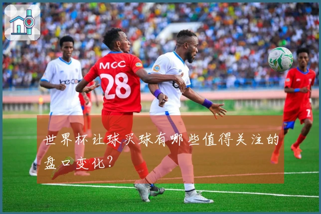 世界杯让球买球有哪些值得关注的盘口变化？