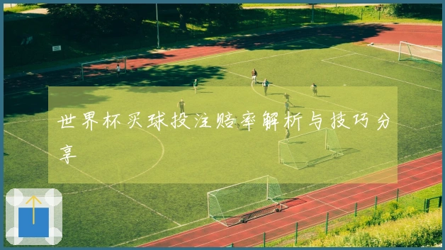 世界杯买球投注赔率解析与技巧分享