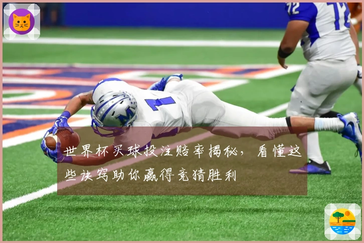 世界杯买球投注赔率揭秘，看懂这些诀窍助你赢得竞猜胜利