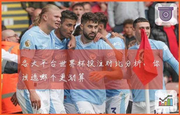 各大平台世界杯投注对比分析，你该选哪个更划算